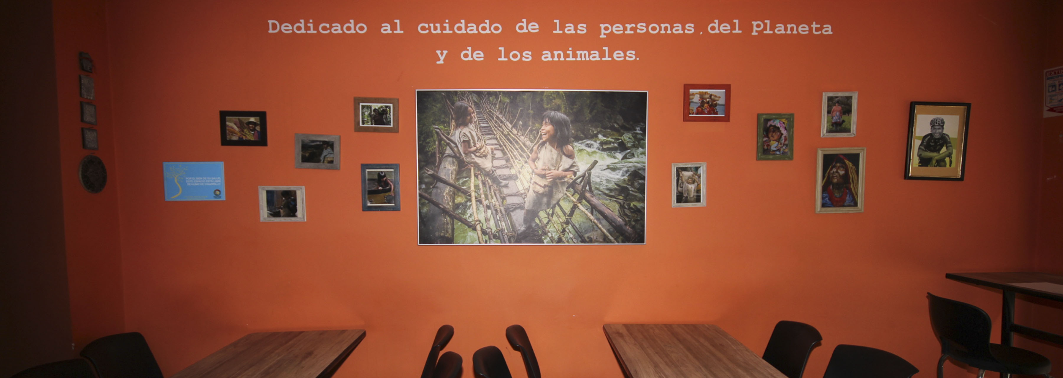mestizo3.jpg