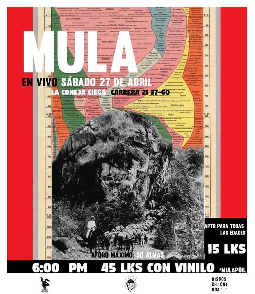 mula.jpg