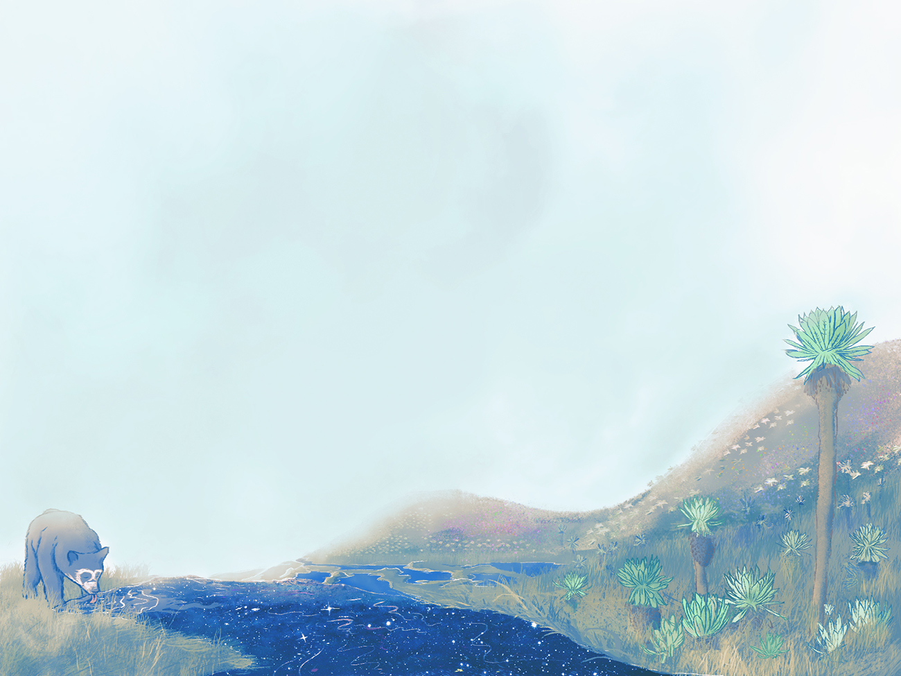otro-paramo3.jpg