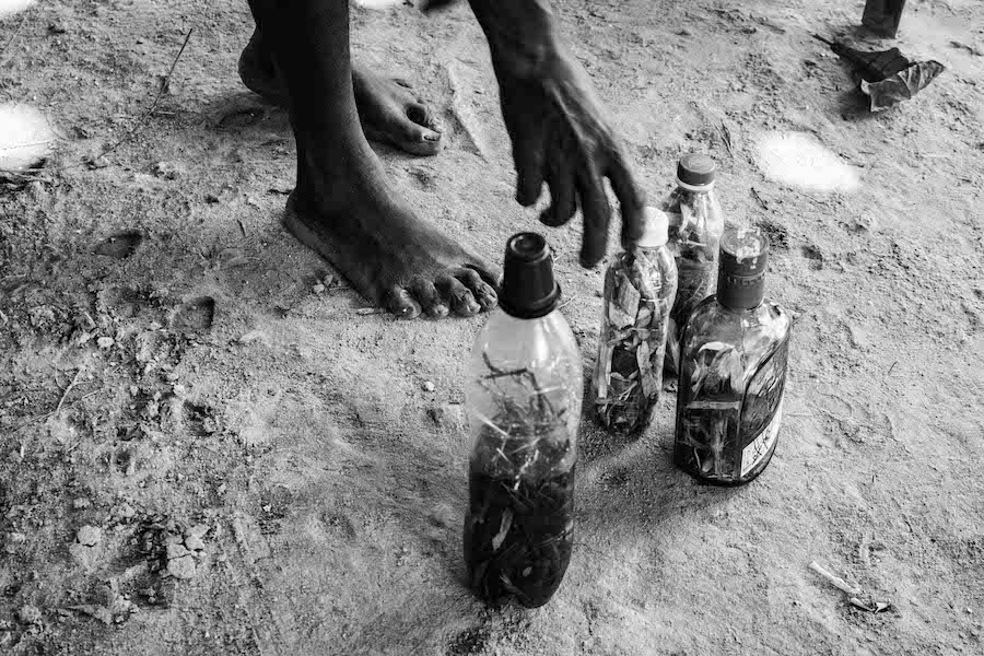 palenque_late_en_los_cinco_sentidos015.jpg
