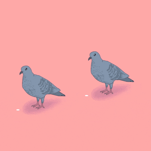 palomas-min.gif