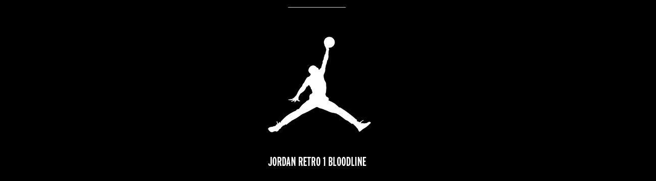 pata-nike-jordan.gif