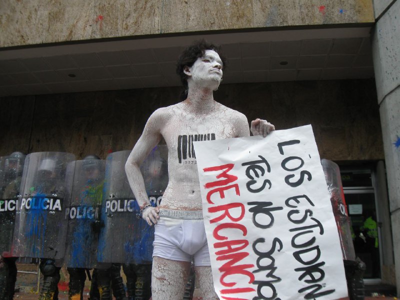 pato.jpg
