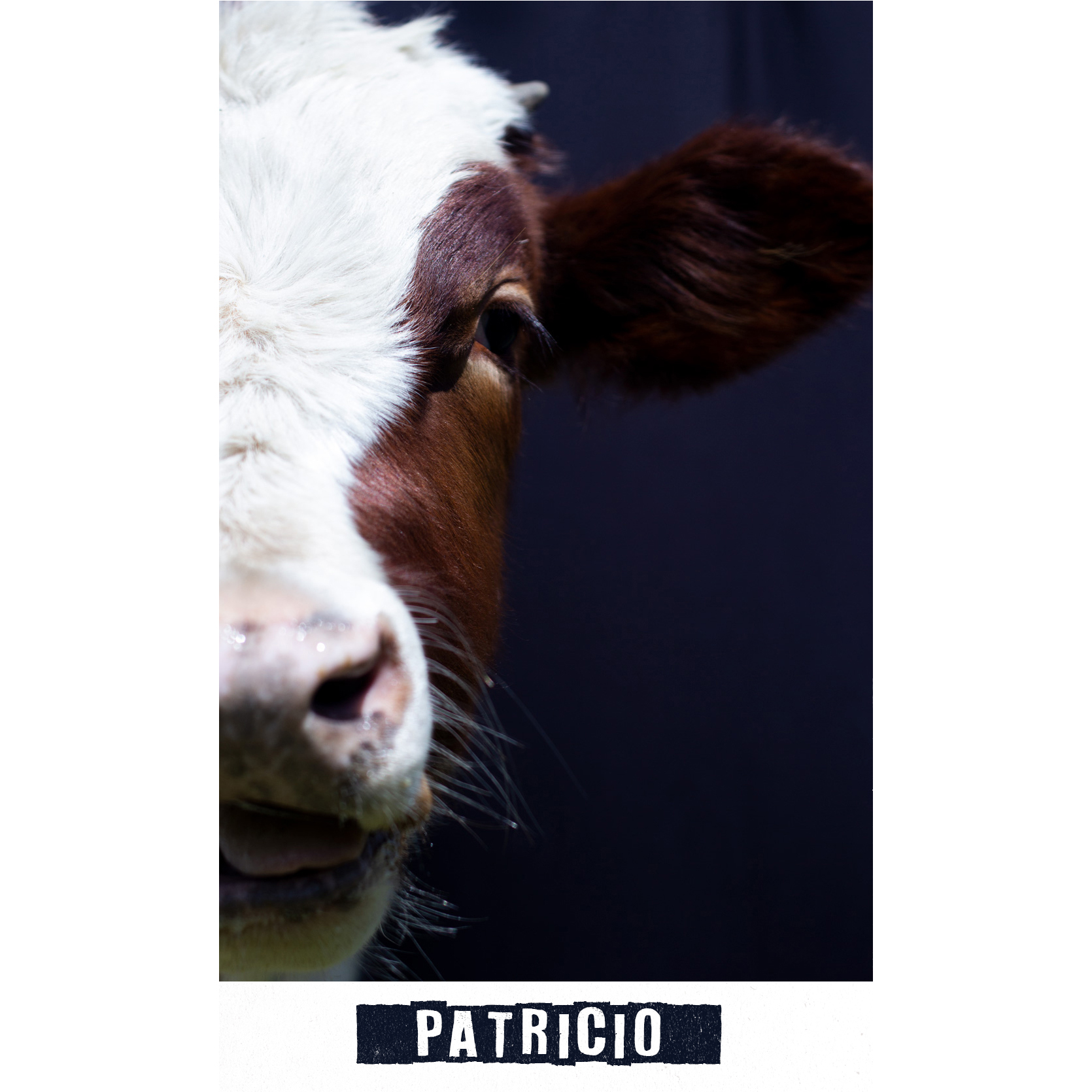 patricio.jpg
