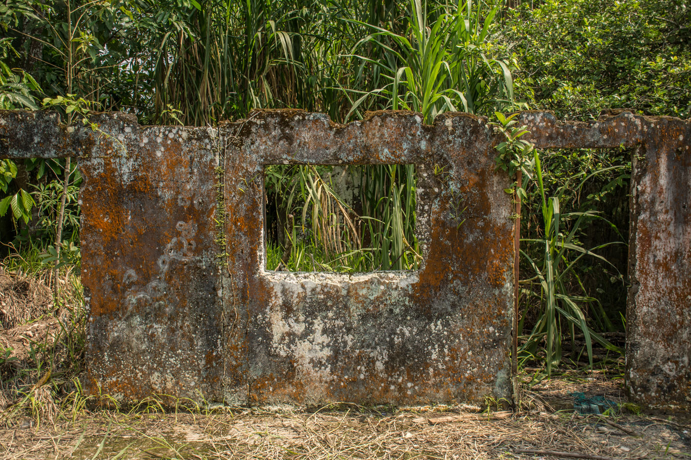 placer-12.jpg