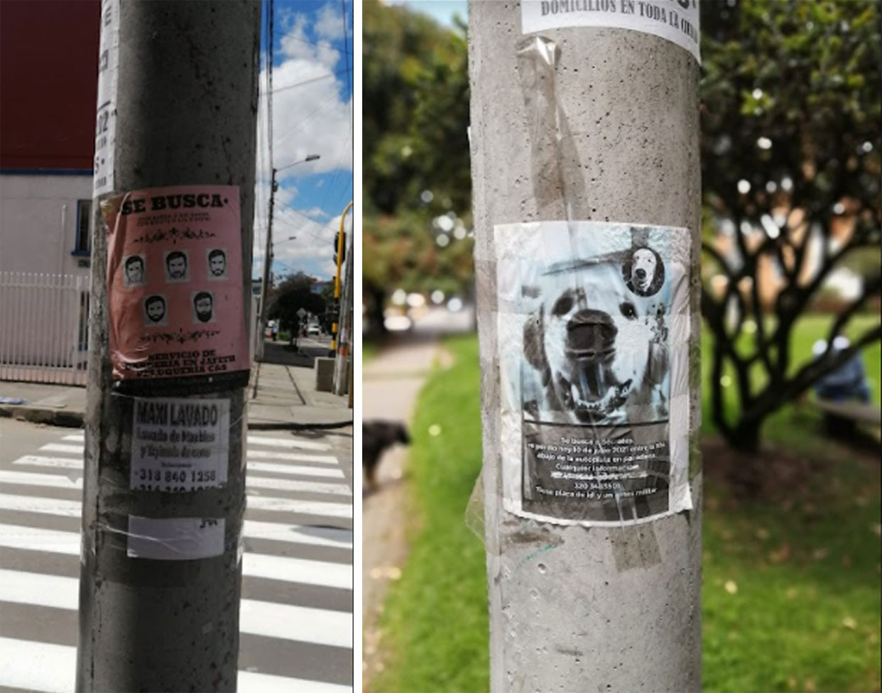 postes4.jpg