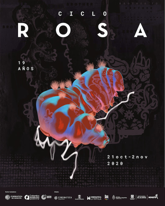 rossa.jpg