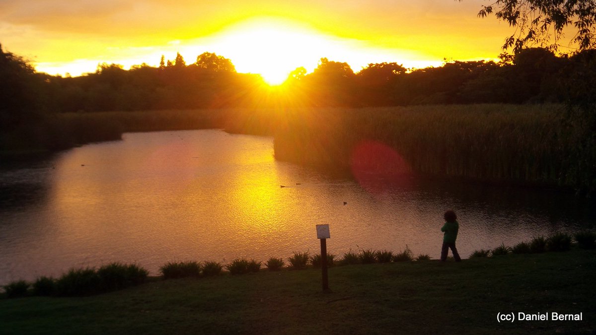 santa_maria_del_lago_-_humedales_bogota.jpg