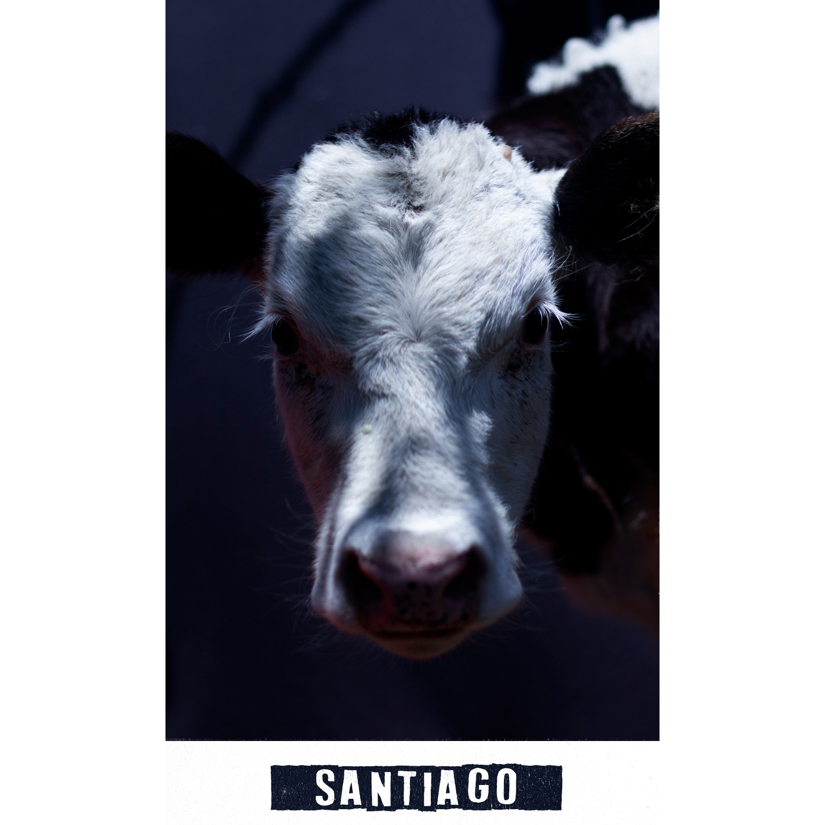 santiago_0.jpg