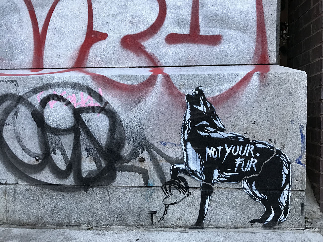 soho-ny_2.jpg