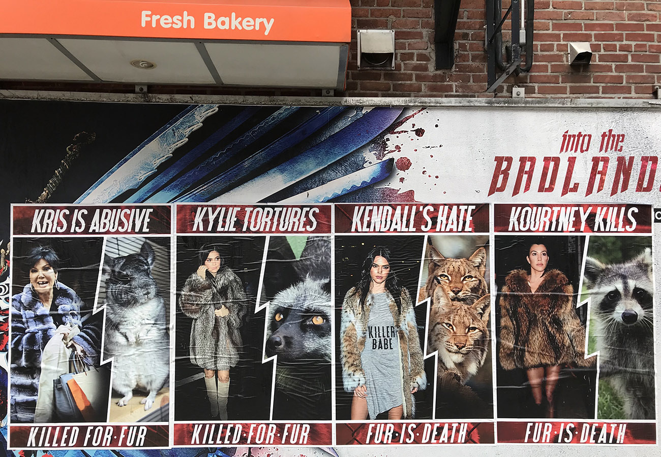 soho.jpeg