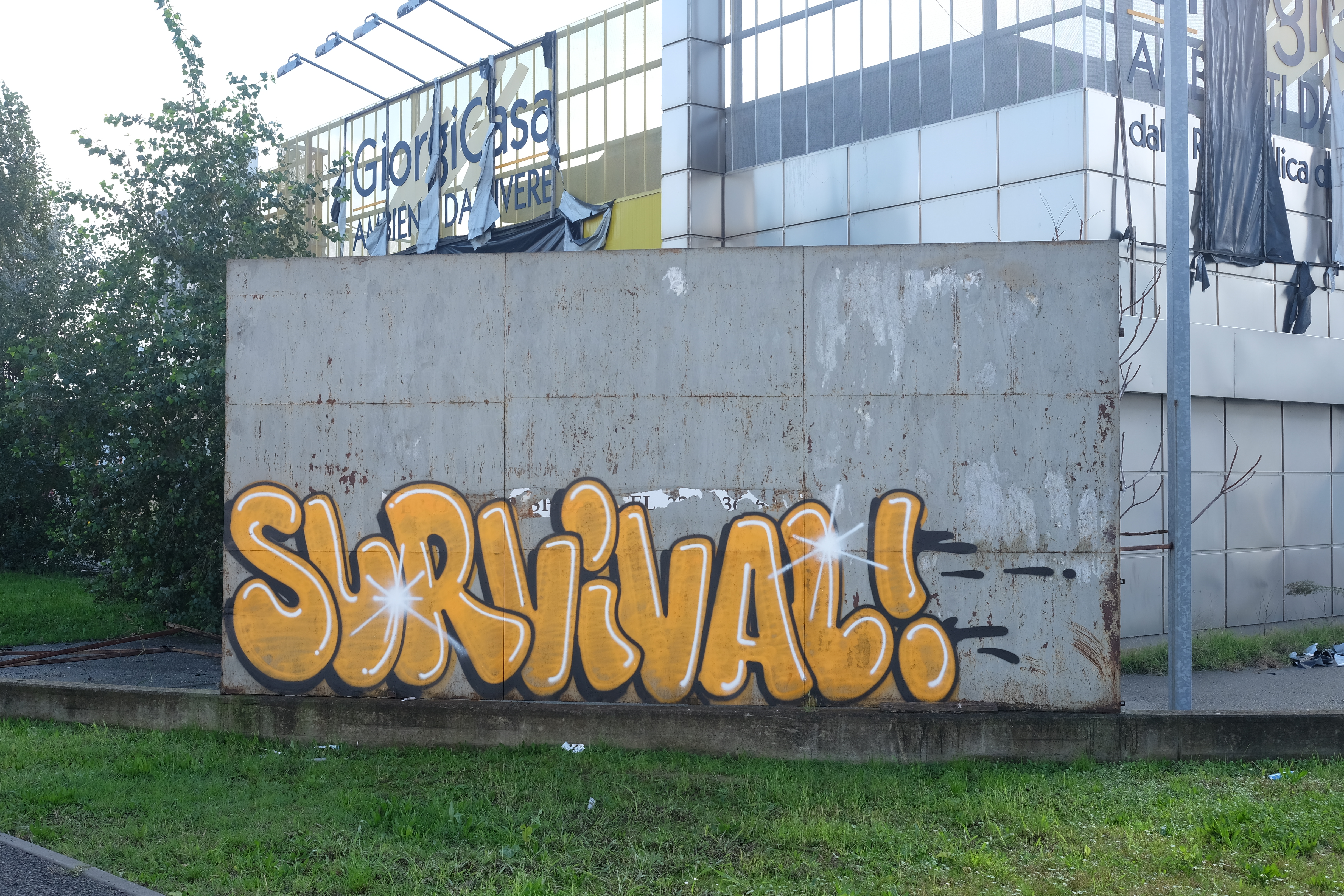 survival_2.jpg
