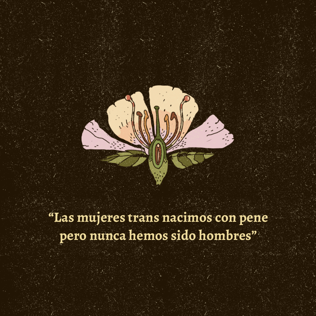 transfeminismo-3.jpg