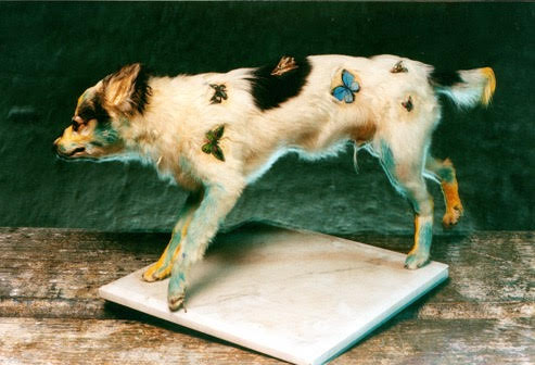 unnamed-5.jpg