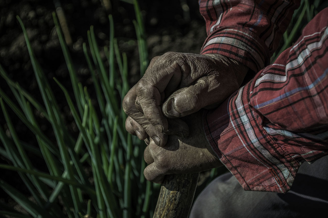 imagenes-de-manos-de-victor-campesino-colombiano.jpg