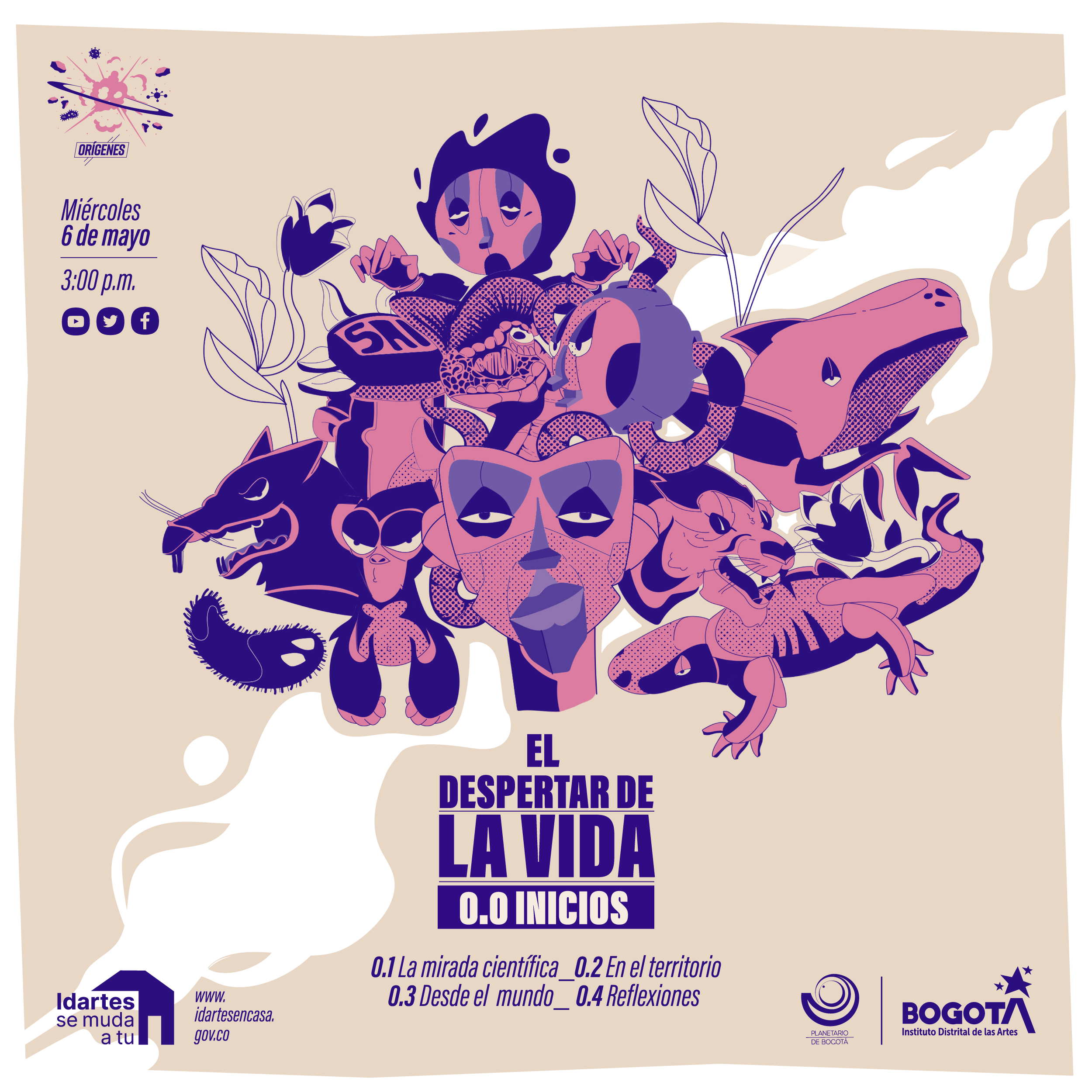 vida.jpg