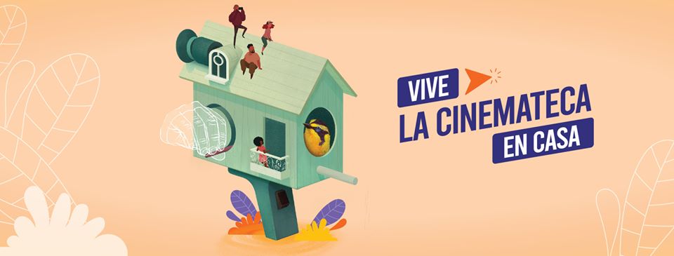 vive.jpg
