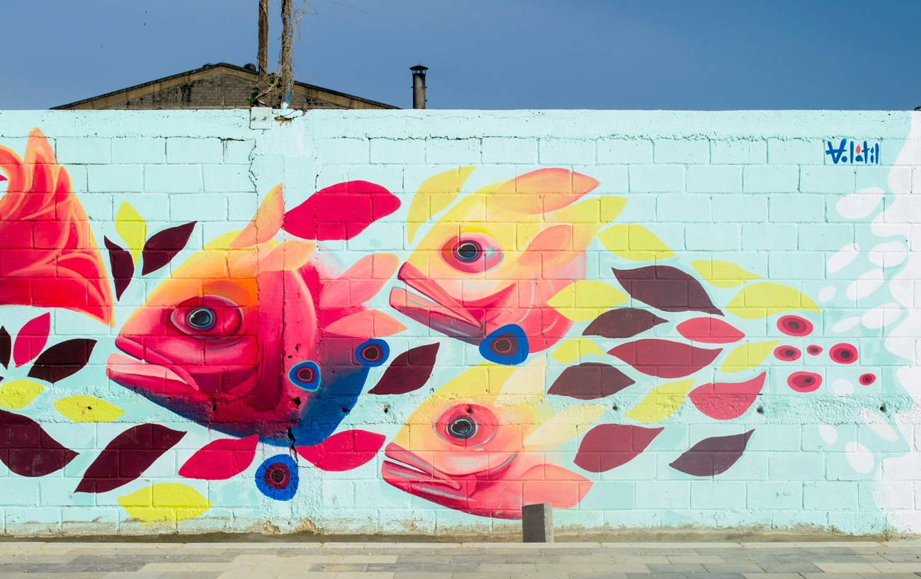 volatil-malecon-via-40-3.jpg