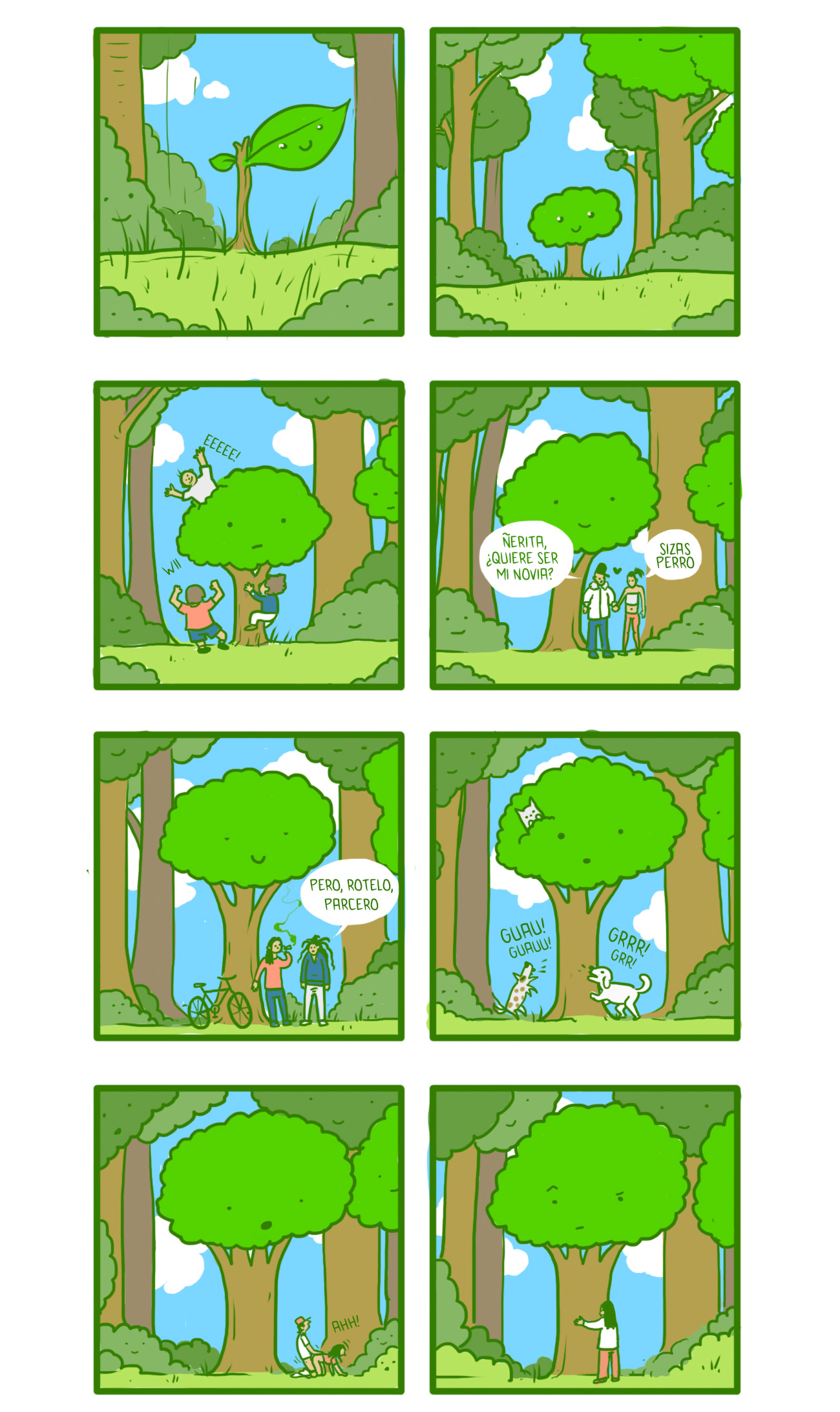 zhakenarbol02.jpg