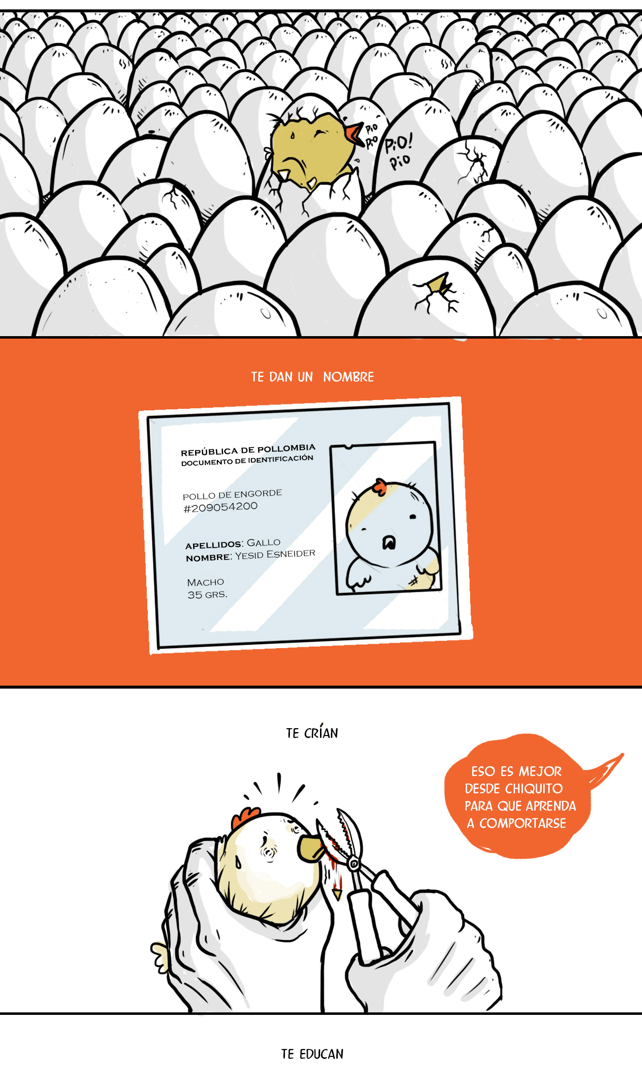 zhakenpollo02.jpg
