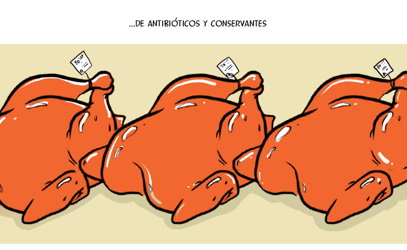 zhakenpollo06.jpg
