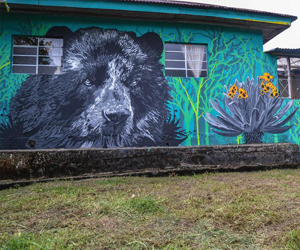 jovenes murales resistencia 