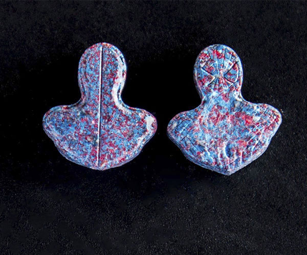echele-cabeza-apaisada.jpg