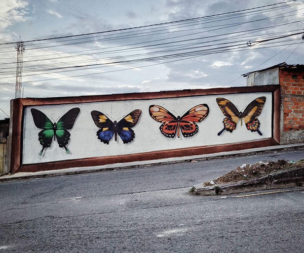 borondo cali