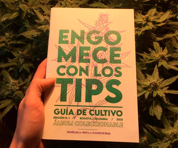 ‘Engomece con los tips’, una guía de autocultivo de cannabis para los consumidores conscientes  