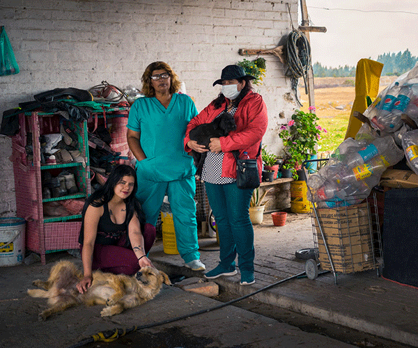 La labor de las proteccionistas de animales en Bosa