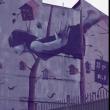 #GrafitiParaToyz. Capítulo V: Normas y Códigos de la Calle