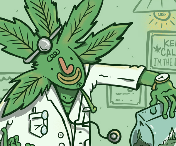 universidad cannabica bogotá